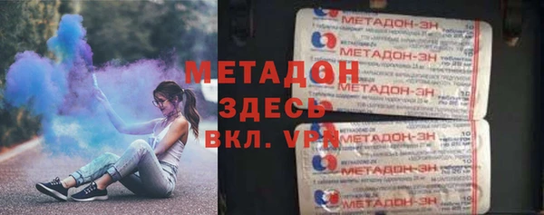 индика Ладушкин