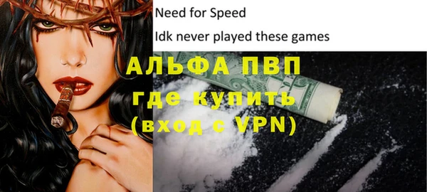 твердый Майский