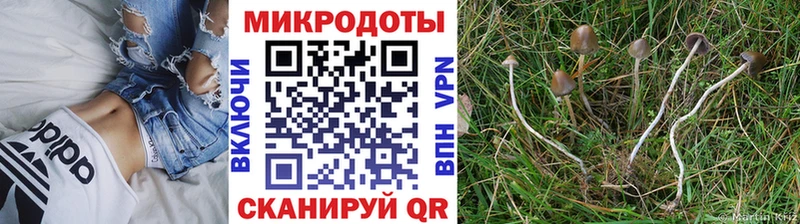 Галлюциногенные грибы Magic Shrooms  даркнет телеграм  Камешково 