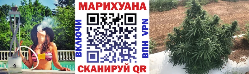 где продают наркотики Камешково Канабис гибрид